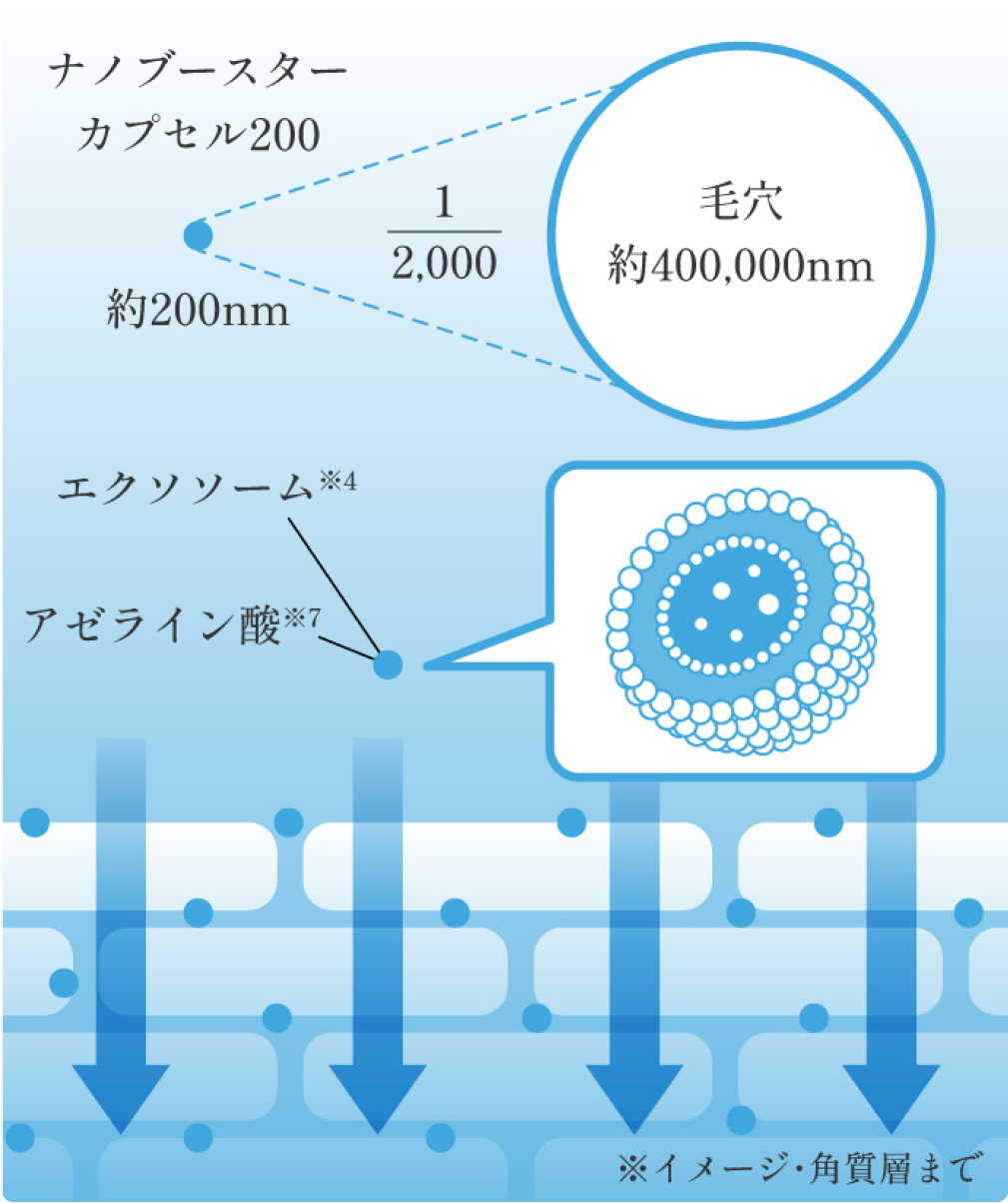 ナノブースターカプセル200