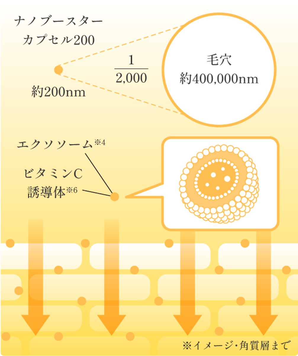 ナノブースターカプセル200