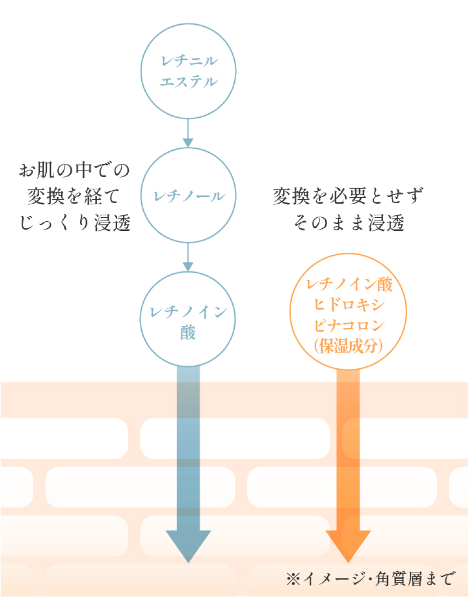 レチノイン酸ヒドロキシピナコロン